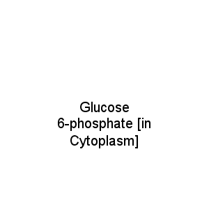 Glucose 6-phosphate [in Cytoplasm]
